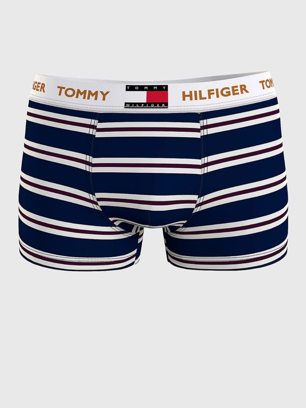 Tommy Hilfiger Underwear Tommy Hilfiger Underwear Bokserki Niebieski