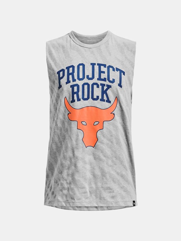 Under Armour Under Armour Project Rock Show Your Bull SL Podkoszulek Szary