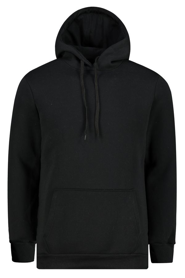 Aliatic Men's hooded sweatshirt Aliatic