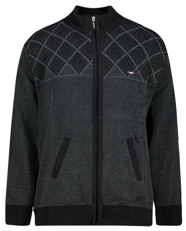 Aliatic Men's sweater Aliatic Zip-Up