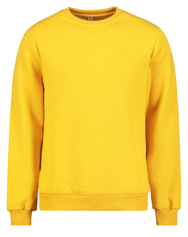 Aliatic Men's sweatshirt by Aliatic