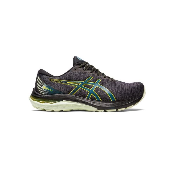 Asics Asics GT 2000 11 Gtx