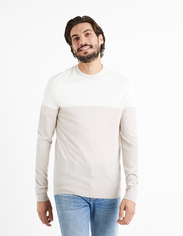 Celio Celio Wool sweater Cemeribloc - Men