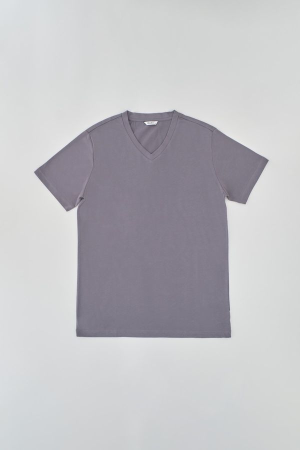Dagi Dagi T-Shirt - Gray - Regular fit
