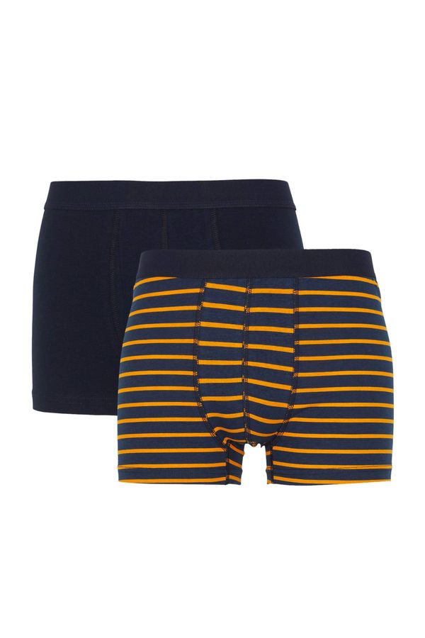 DEFACTO DEFACTO 2 Pack Regular Fit Striped Trunks