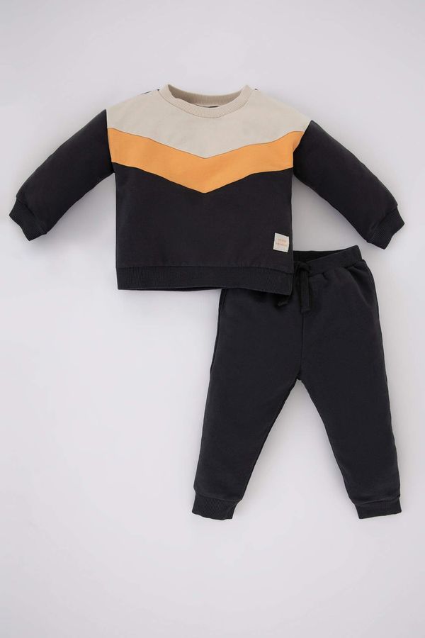 DEFACTO DEFACTO Baby Boy Crew Neck Sweatshirt Fabric 2-Pack Set