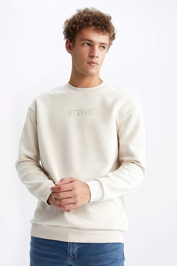 DEFACTO DEFACTO Boxy Fit Long Sleeve Sweat Shirt