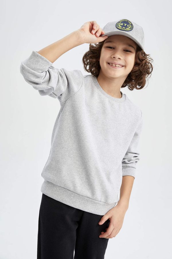 DEFACTO DEFACTO Boy Basic Long Sleeve Sweatshirt