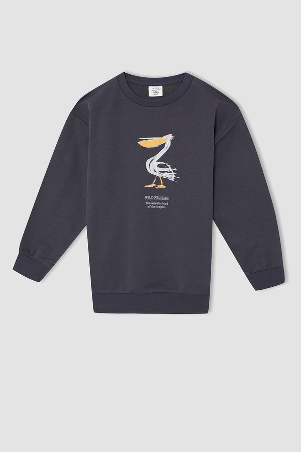 DEFACTO DEFACTO Boy Oversize Long Sleeve Animal Print Sweatshirt