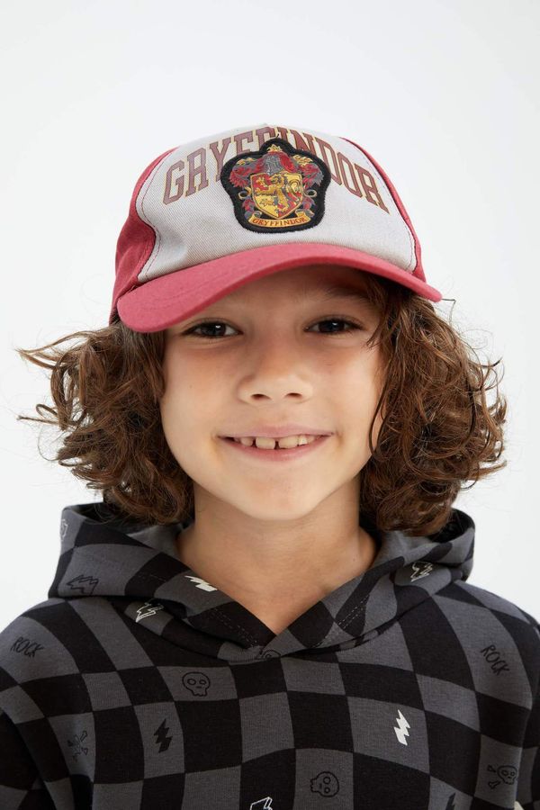 DEFACTO DEFACTO Boy's Harry Potter Licensed Embroidered Baseball Basketball Cap