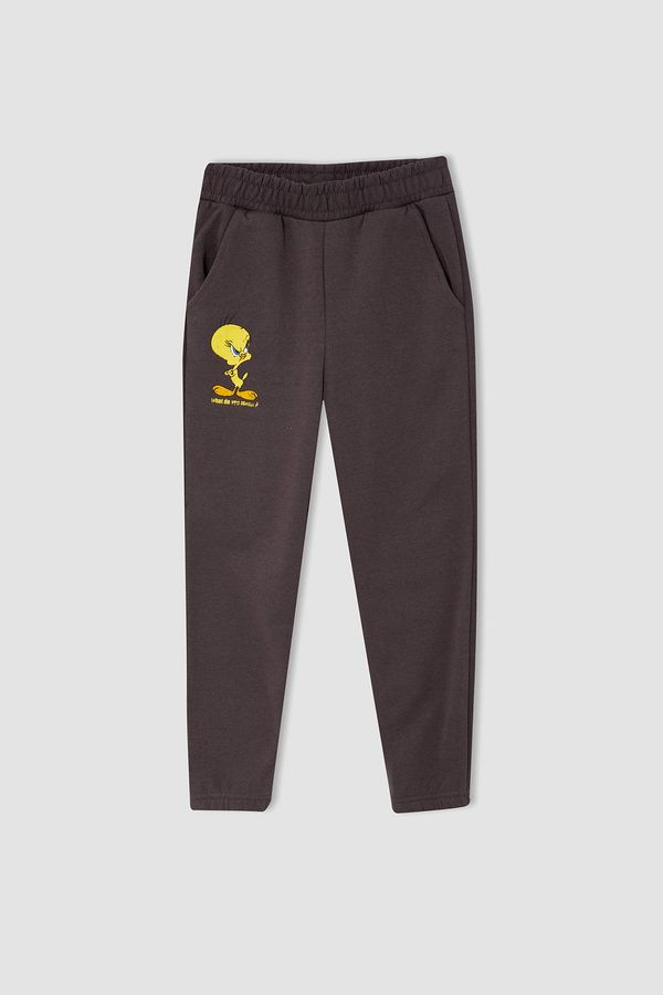 DEFACTO DEFACTO Girl Looney Tunes Inner Soft Feather Jogger Tracksuit