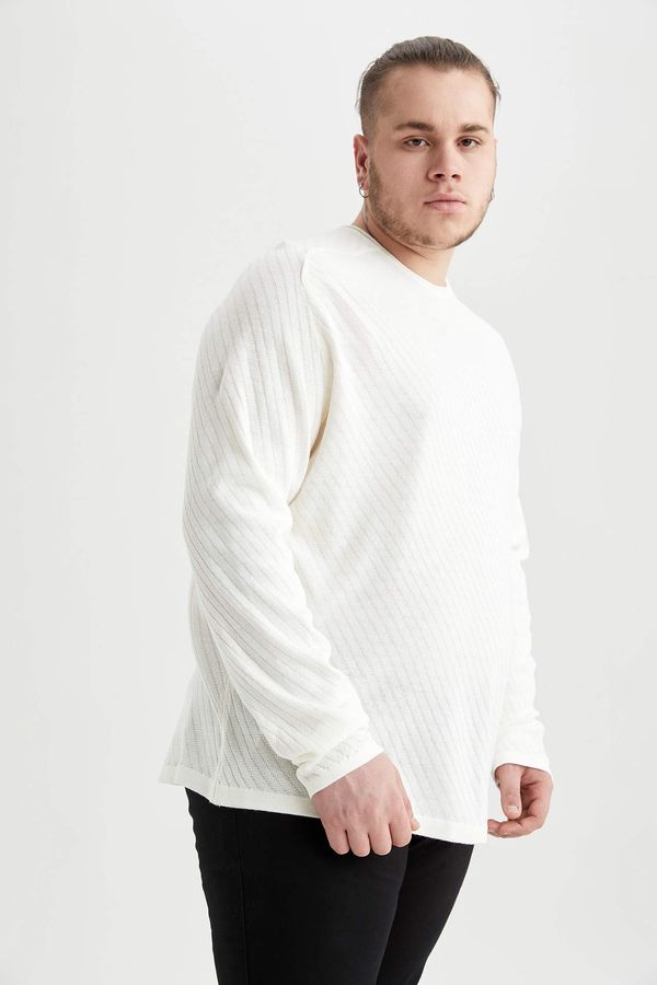 DEFACTO DEFACTO Plus Size Regular Fit Crew Neck Basic Knitwear Pullover