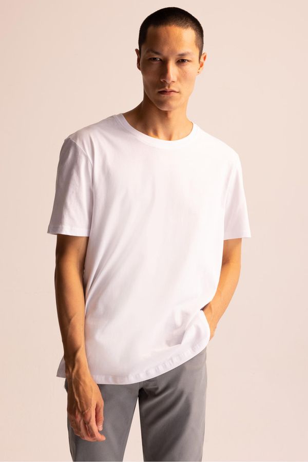 DEFACTO DEFACTO Regular Fit Crew Neck Basic Short Sleeve T-Shirt