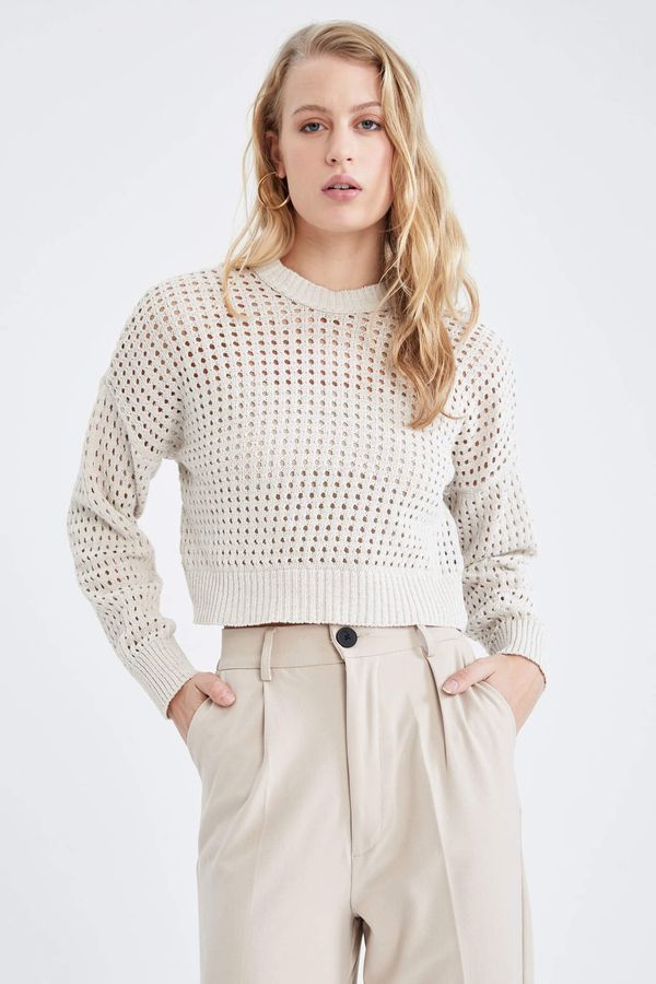 DEFACTO DEFACTO Regular Fit Crew Neck Perforated Knitwear Pullover
