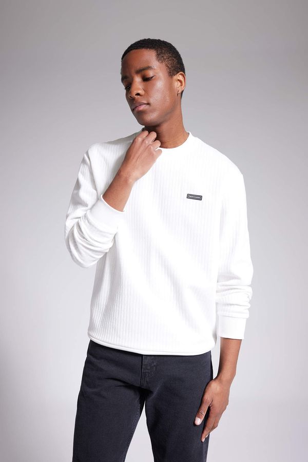 DEFACTO DEFACTO Regular Fit Crew Neck Sweatshirt