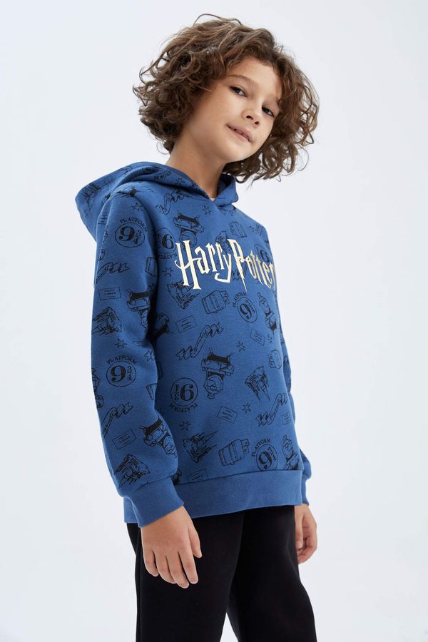 DEFACTO DEFACTO Regular Fit Harry Potter Licensed Hooded Sweatshirt
