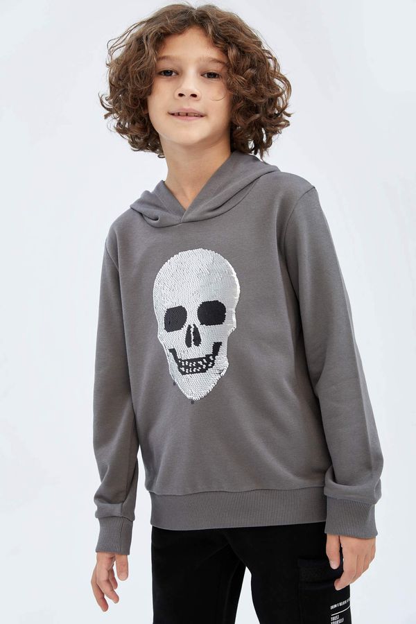 DEFACTO DEFACTO Regular Fit Hooded Sweatshirt