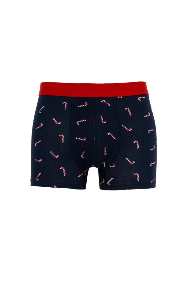 DEFACTO DEFACTO Regular Fit Knitted Boxer