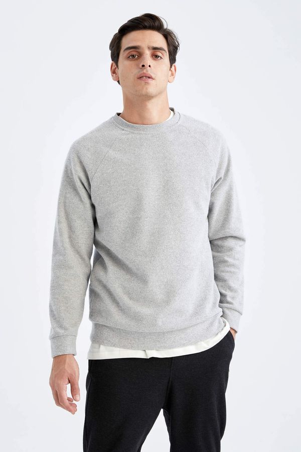 DEFACTO DEFACTO Regular Fit Long Sleeve Sweat Shirt