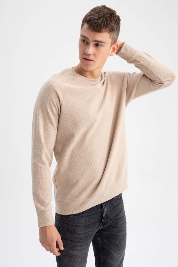 DEFACTO DEFACTO Regular Fit Long Sleeve Sweatshirt