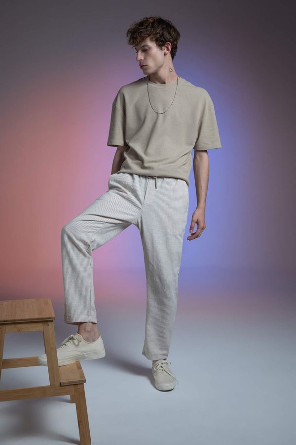 DEFACTO DEFACTO Regular Fit Pants