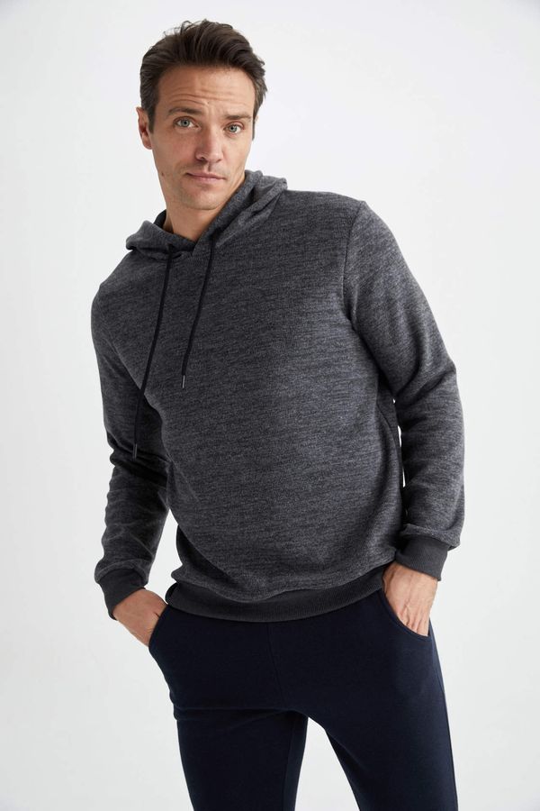 DEFACTO DEFACTO Regular Fit Sweatshirt