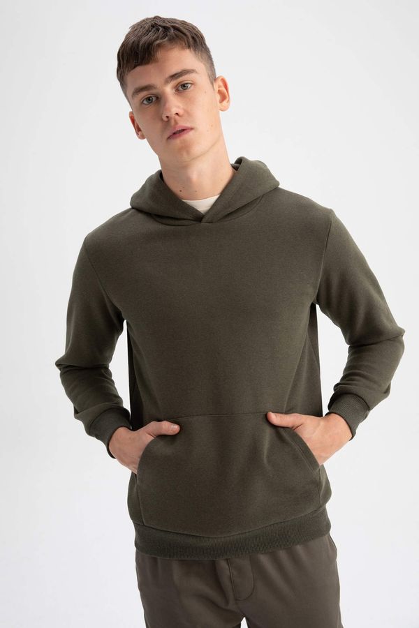 DEFACTO DEFACTO Regular Fit Sweatshirt