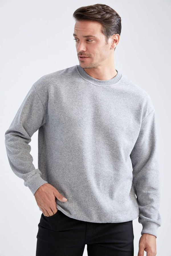 DEFACTO DEFACTO Regular Fit Sweatshirt