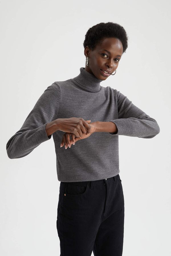 DEFACTO DEFACTO Regular Fit Turtleneck Pullover