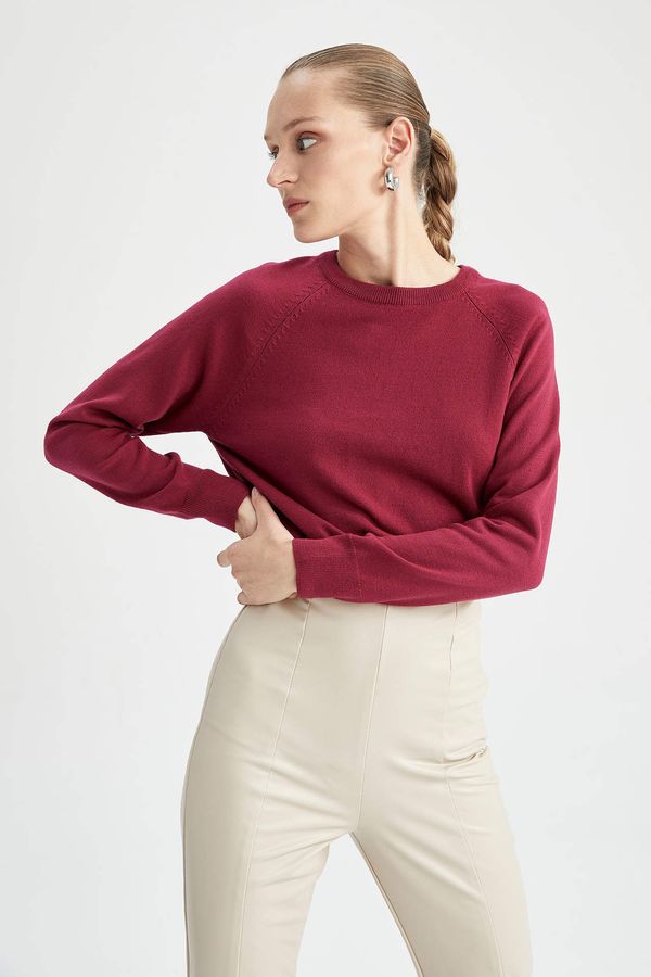 DEFACTO DEFACTO Relax Fit Pullover