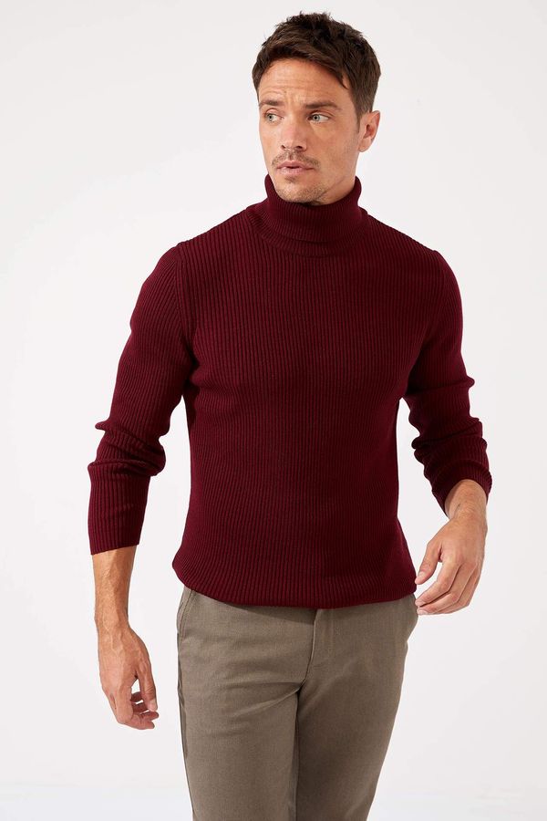 DEFACTO DEFACTO Slim Fit Turtle Neck Long Sleeve Tricot Pullover