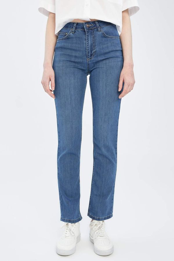 DEFACTO DEFACTO Straight Fit Straight Leg Jeans