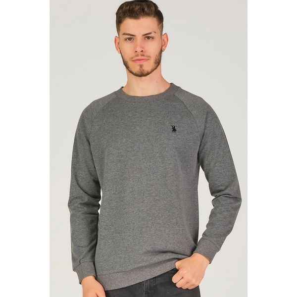 dewberry V4003 DEWBERRY REGLAN ARM MEN'S SWEATSHIRT-ANTHRACIC