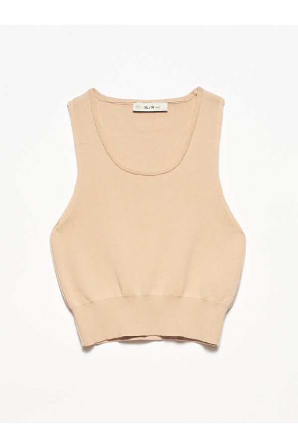 Dilvin Dilvin Sweater Vest - Brown - Fitted
