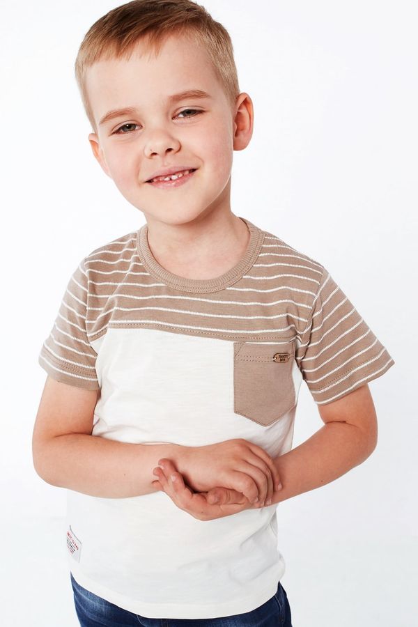 FASARDI Boys' Beige-Cream T-shirt