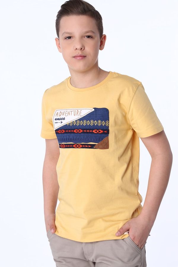 FASARDI Boys' T-shirt with embroidered honey application