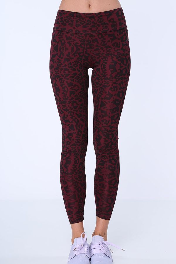 FASARDI Chestnut leggings with leopard pattern