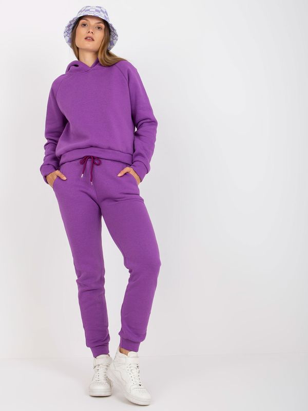Fashionhunters Basic purple sweatshirt with sweatshirt