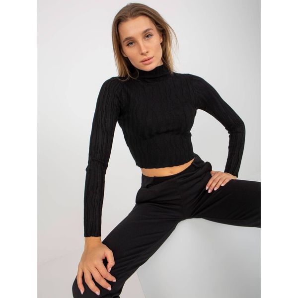 Fashionhunters Black short turtleneck sweater with viscose