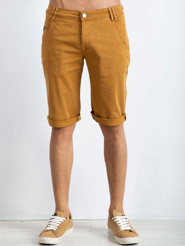 Fashionhunters Brown men's shorts