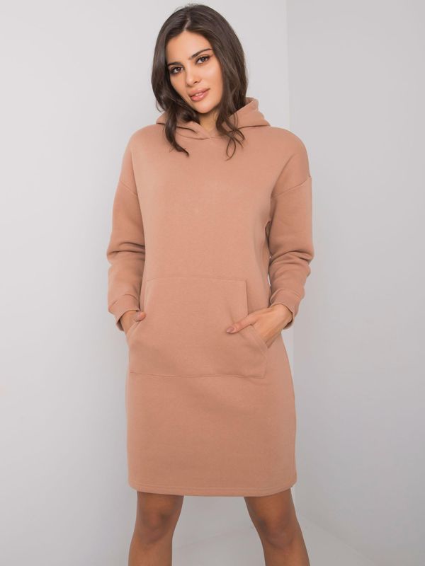 Fashionhunters Brown Sweatshirt Dress Boston SUBLEVEL