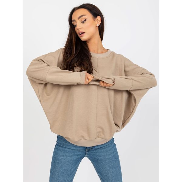 Fashionhunters Dark beige basic sweatshirt without a RUE PARIS hood