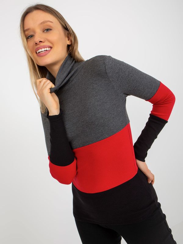 Fashionhunters Dark grey and black basic ribbed turtleneck blouse