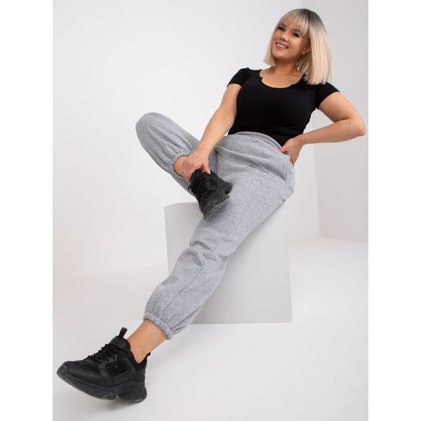 Fashionhunters Gray melange plus size sweatpants with Banni pockets