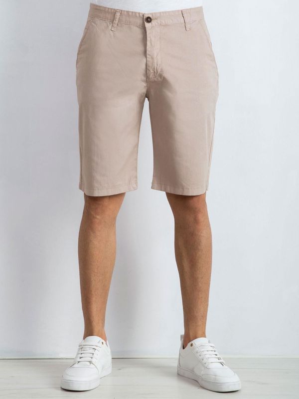 Fashionhunters Men's Shorts with Beige Stripes