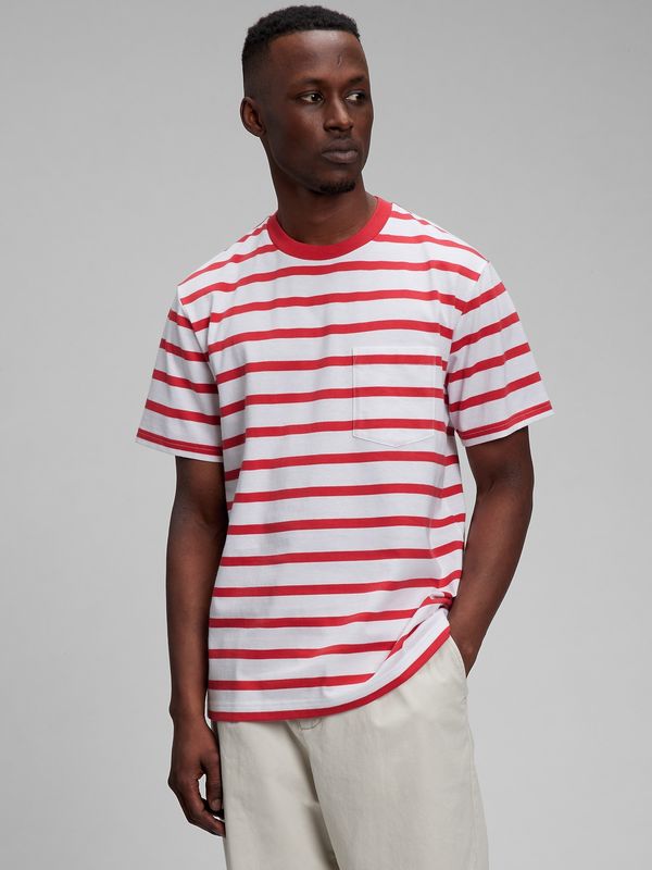 GAP GAP Organic Cotton T-Shirt Striped - Men