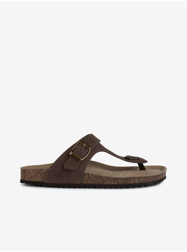 GEOX Brown Women's Leather Flip-Flops Geox - Women