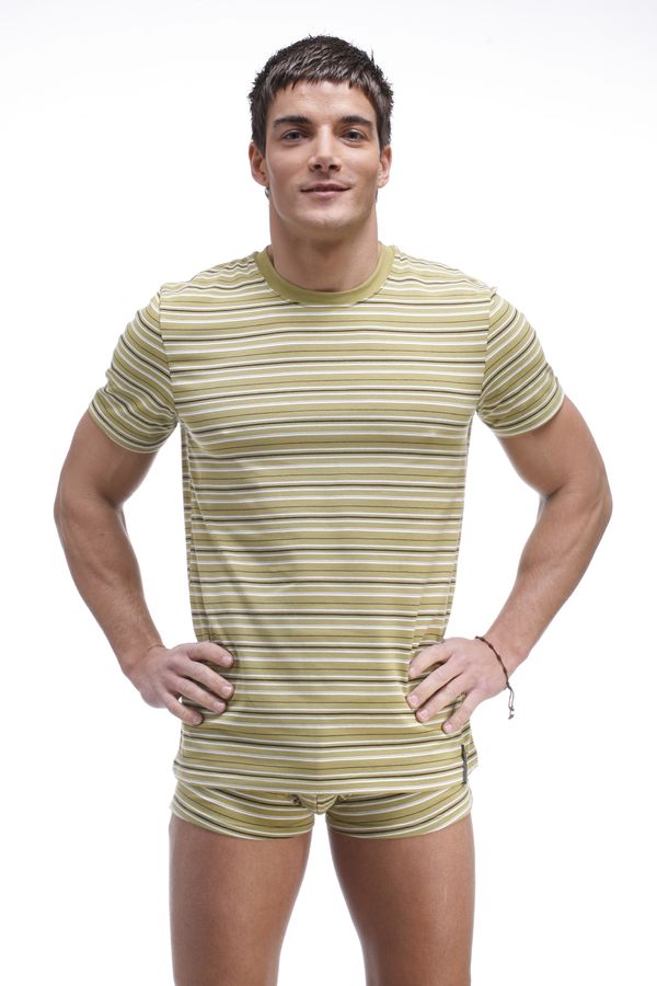 Henderson T-shirt Keeth 20846 Olive Striped (81)