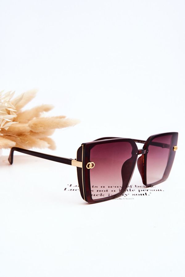 Kesi Large Sunglasses UV400 MA20601 brown