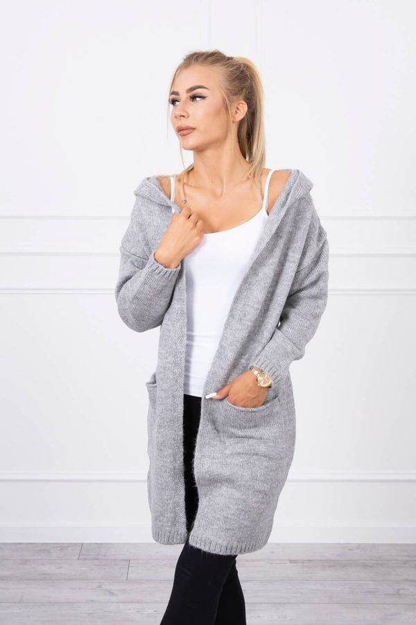 Kesi Ordinary sweater with a hood and pockets of gray color